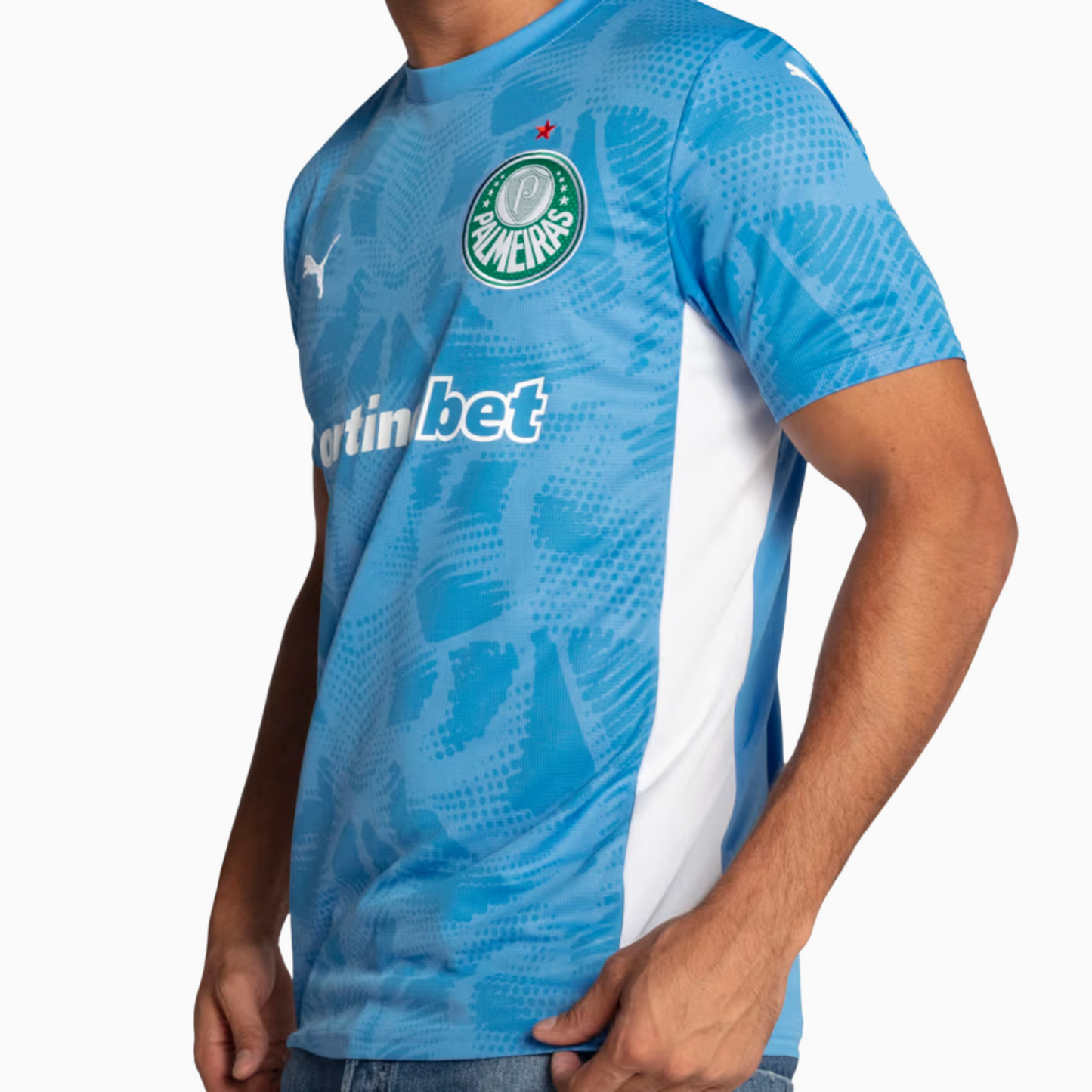 Camisa Goleiro Palmeiras 2025/26 Goleiro I